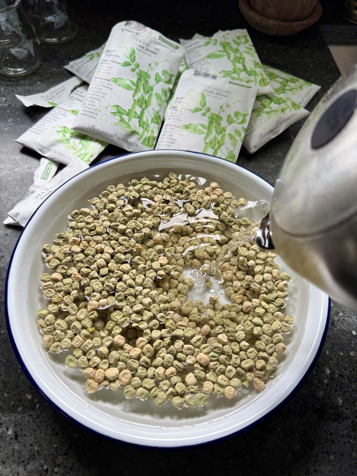 Planting Peas and Basil