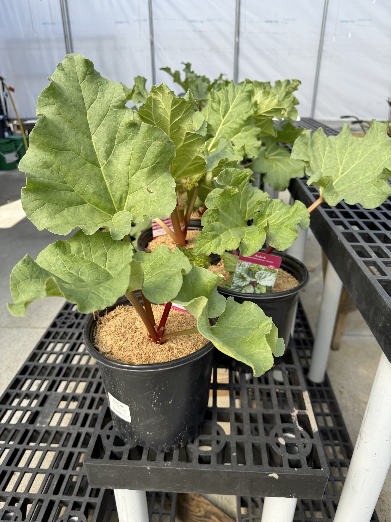 I’m In The Wrong Business