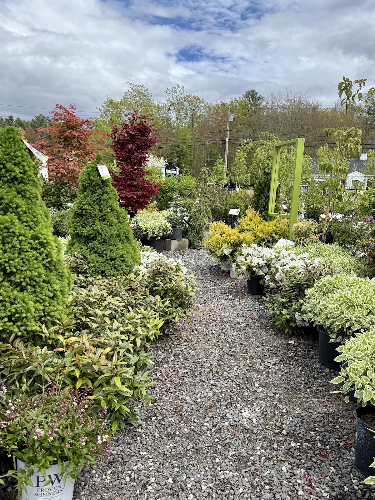 Shopping For Hanging Baskets… And Nothing Else