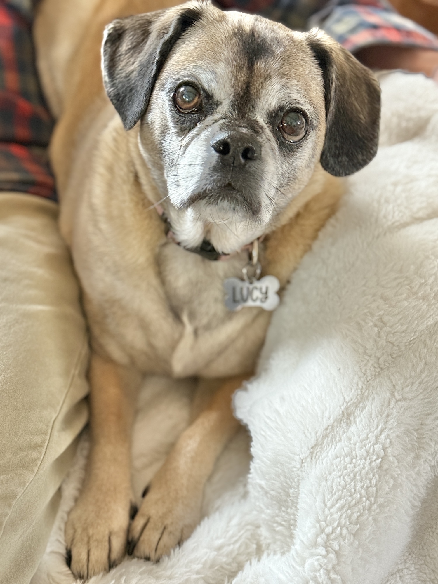 My Goals For 2025 Week 20 of 52