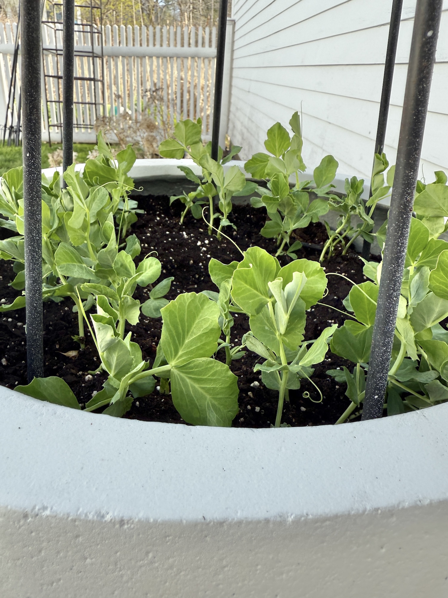 It’s Supposed To Rain All Week