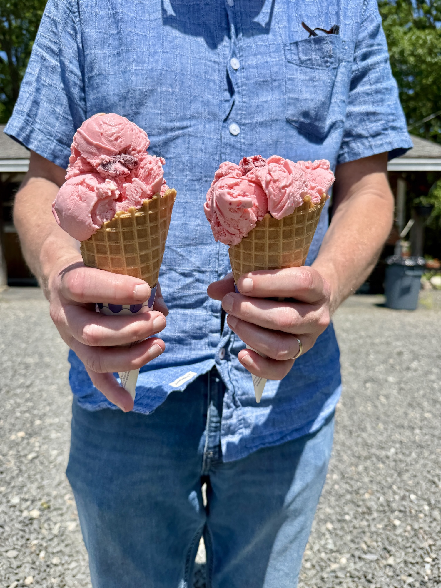 My Goals For 2025 Week 25 of 52