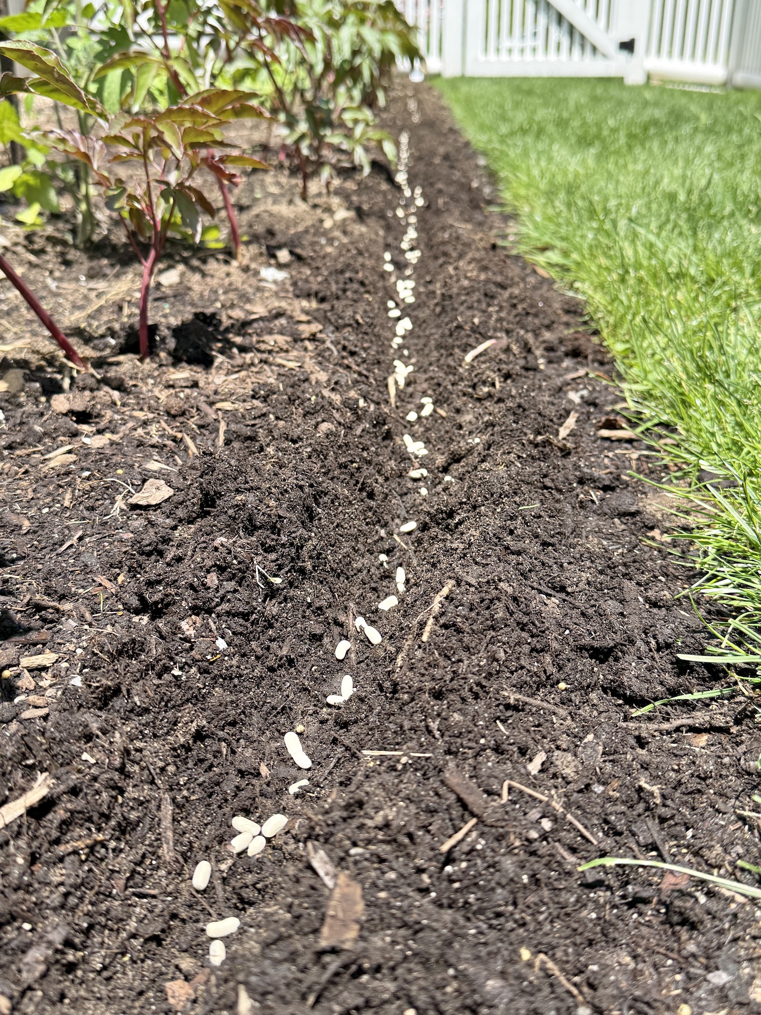 365 Pounds of Vegetables?