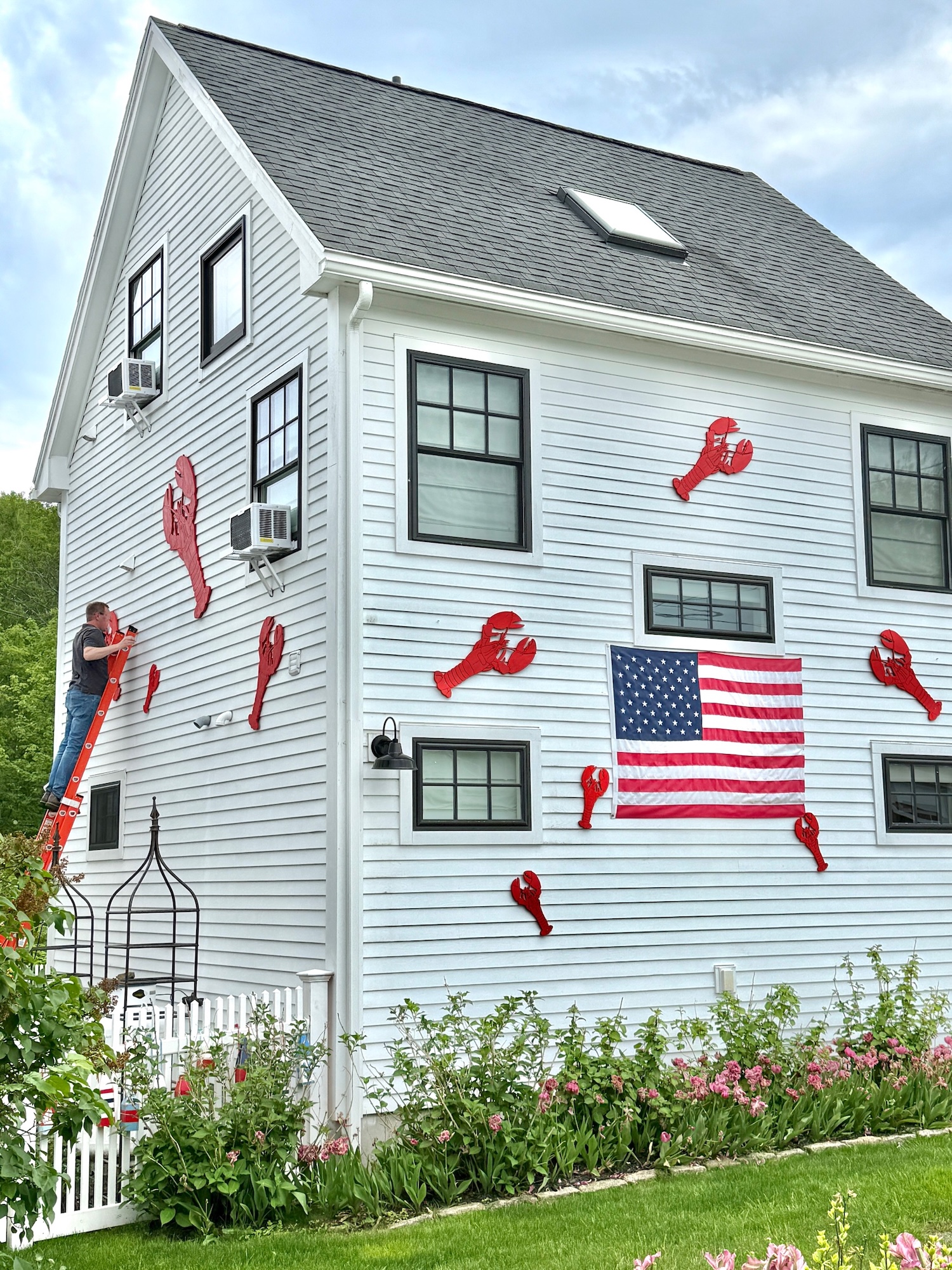 My Goals For 2025 Week 23 of 52