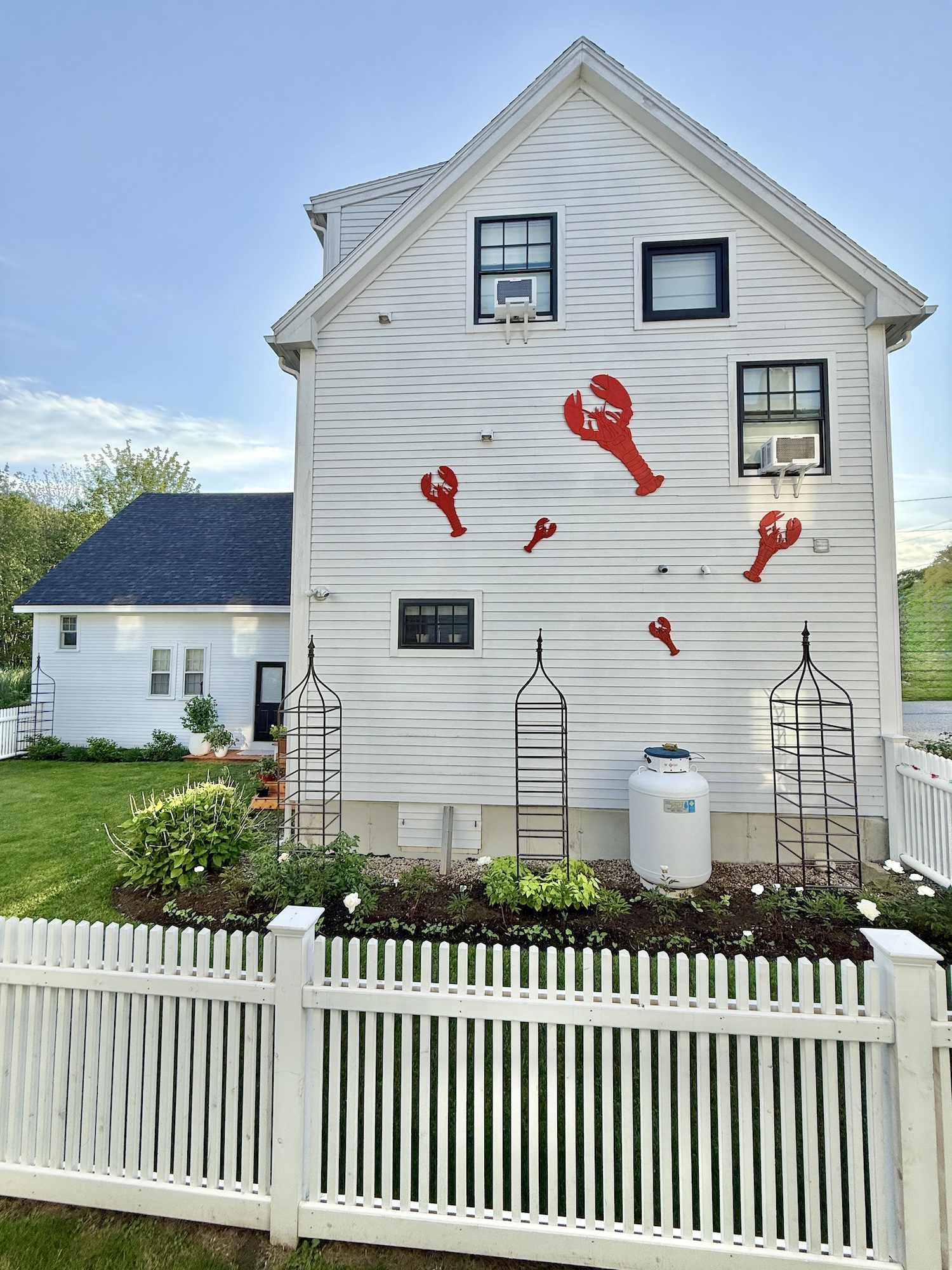 My Small But Soon To Be Mighty Garden – Late June