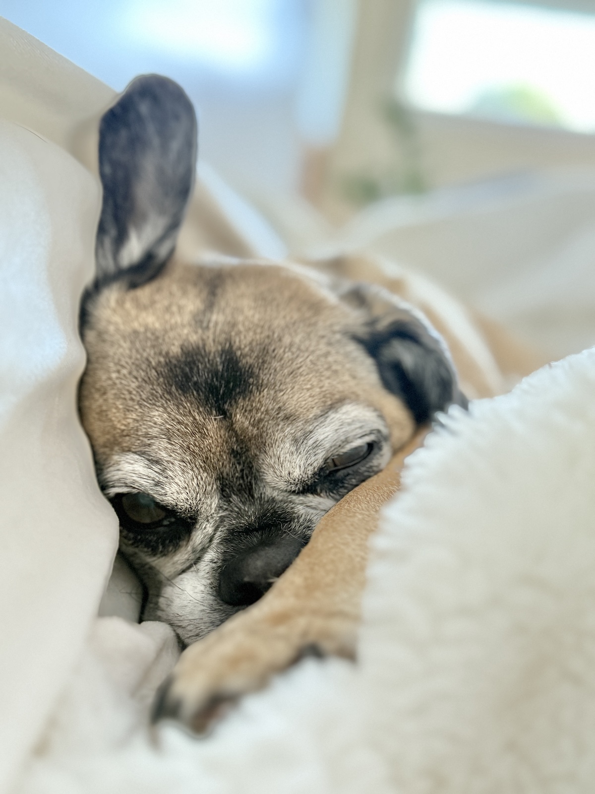 My Goals For 2025 Week 31 of 52