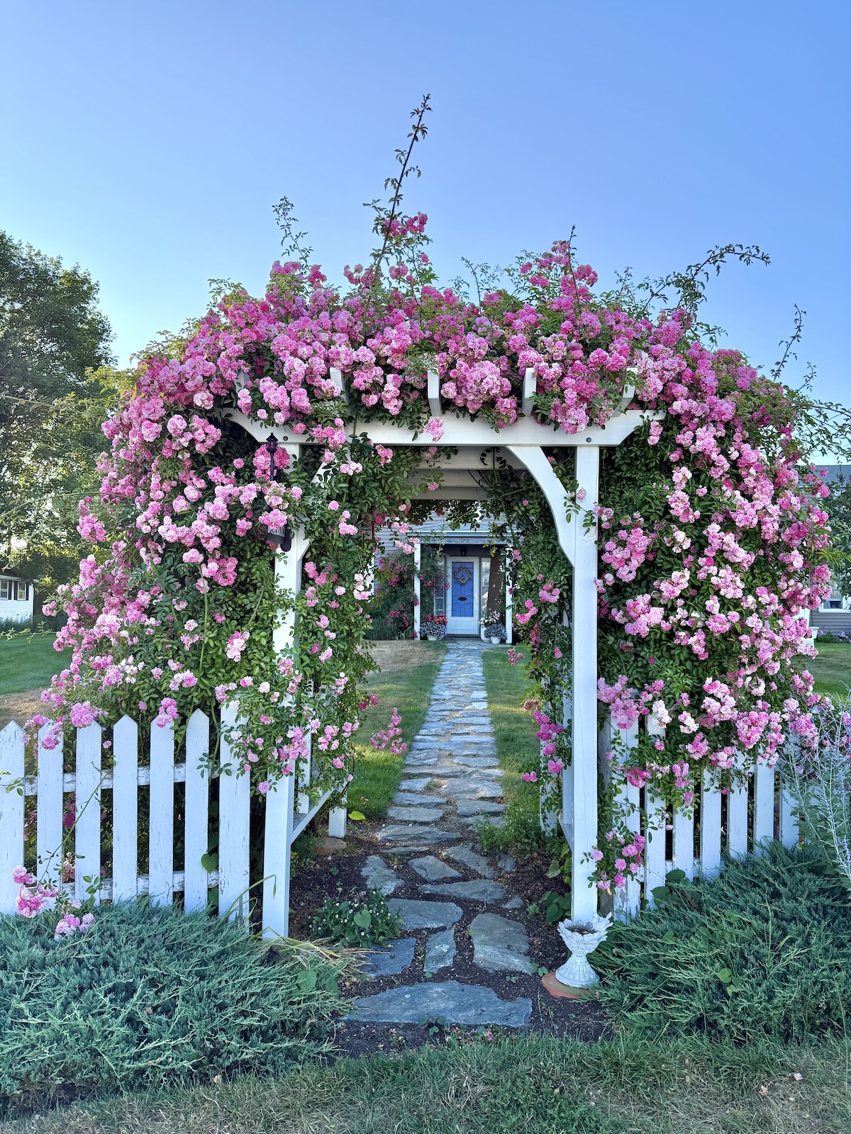 My Goals For 2025 Week 33 of 52