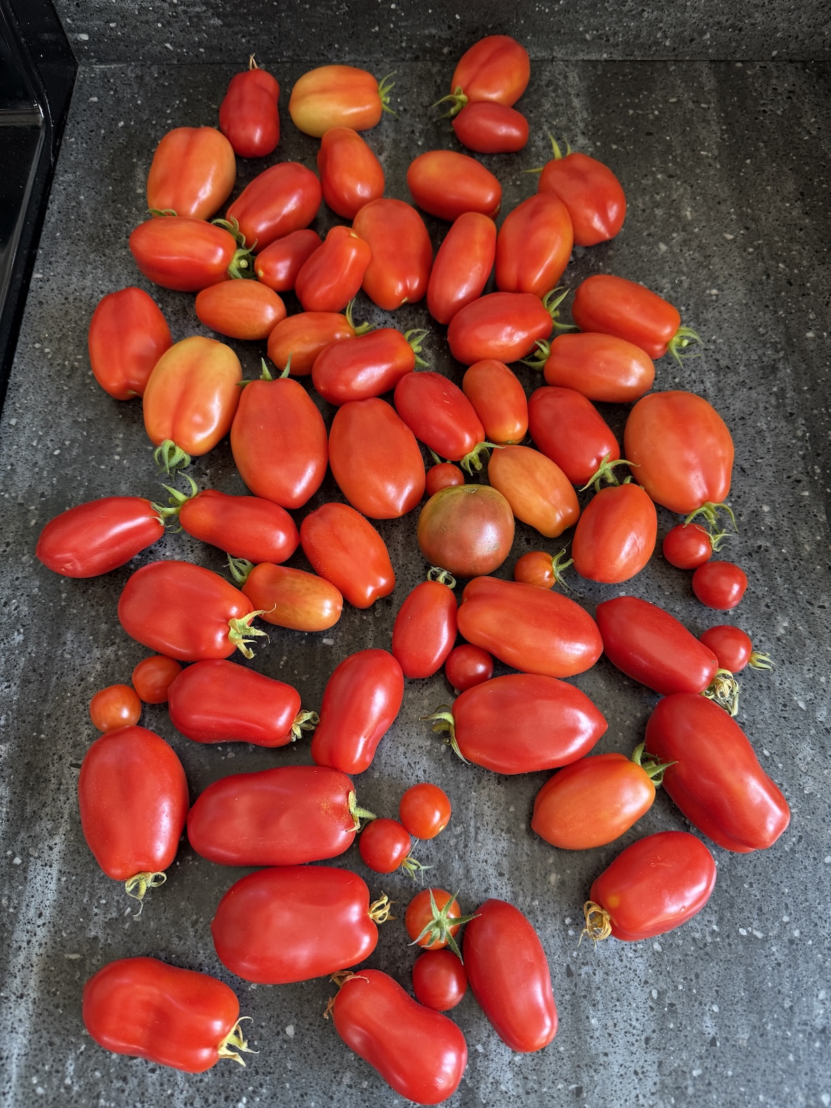 My Goals For 2025 Week 35 of 52