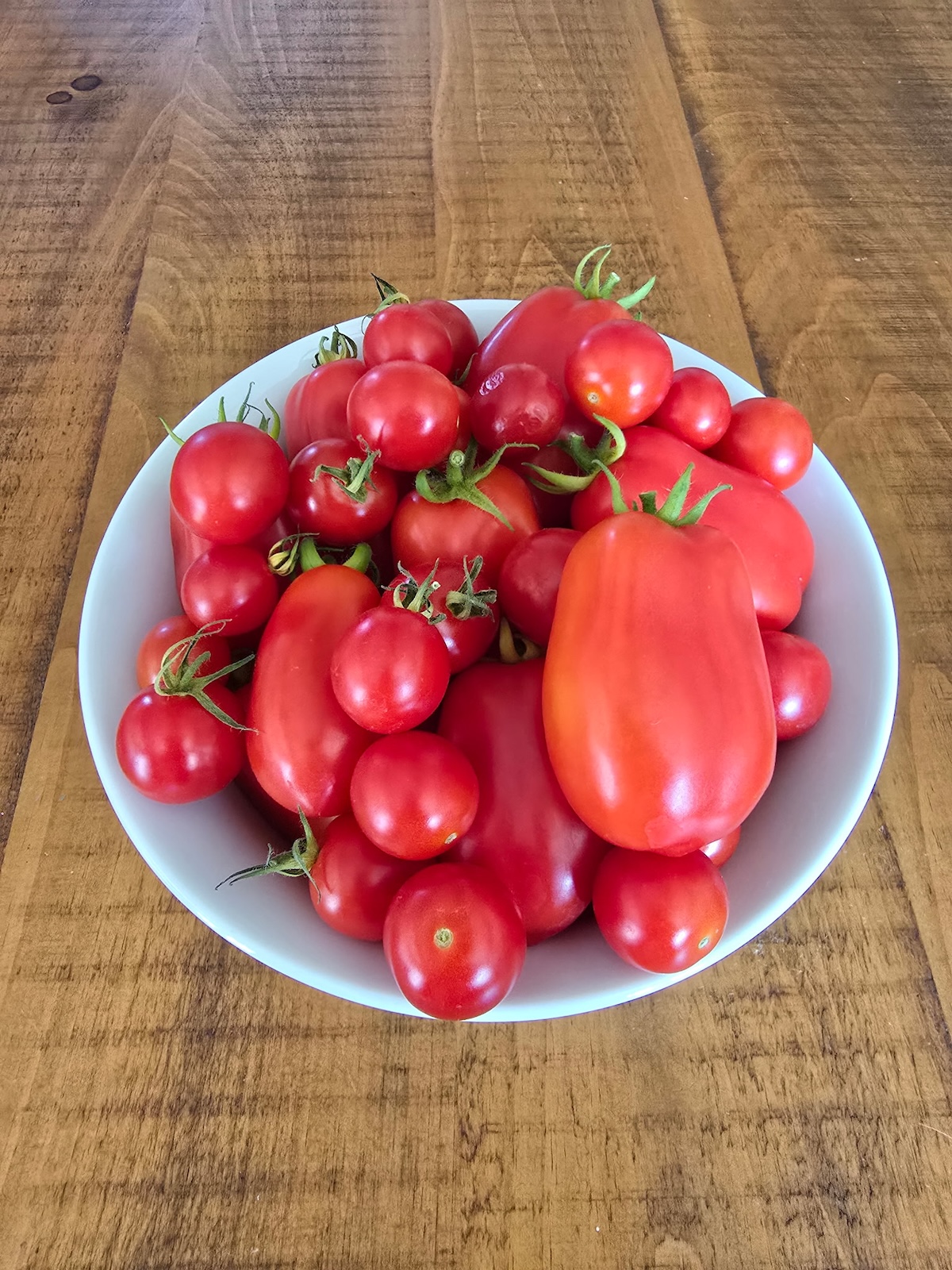 In The Garden – Mid August