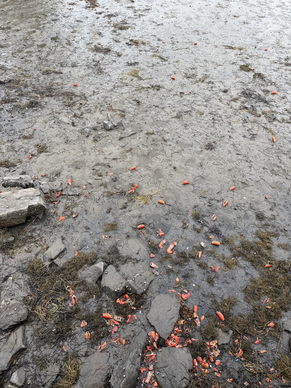 Bits And Bobs – September