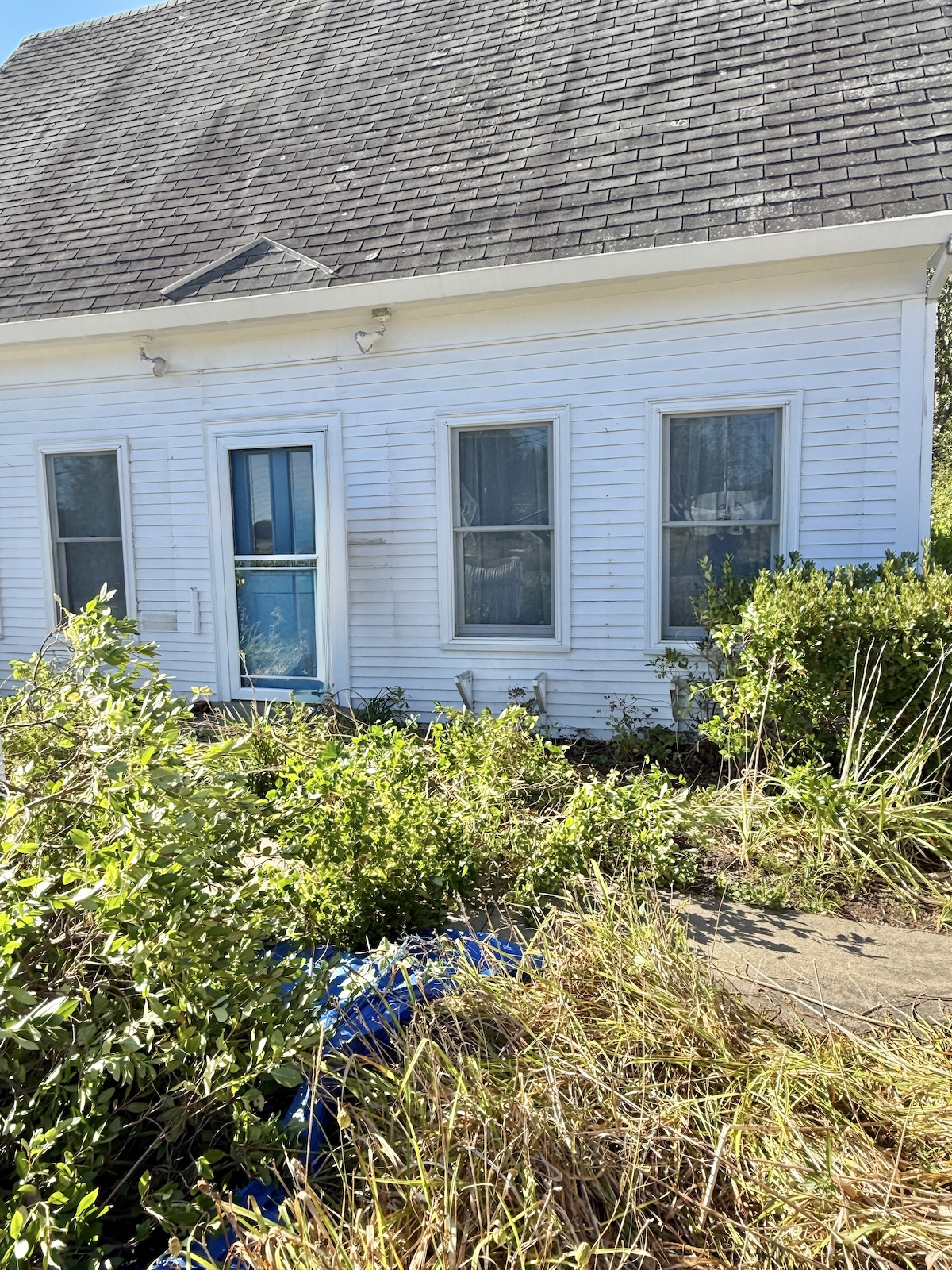 I Do Love A Garden Challenge