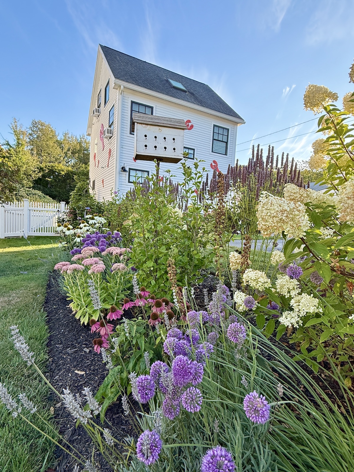 My Early September Garden