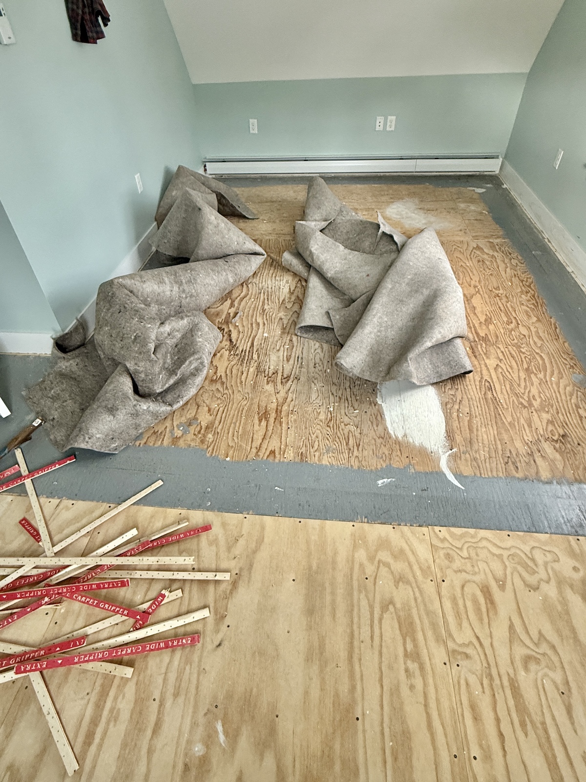 My Goals For 2025 Week 42 of 52