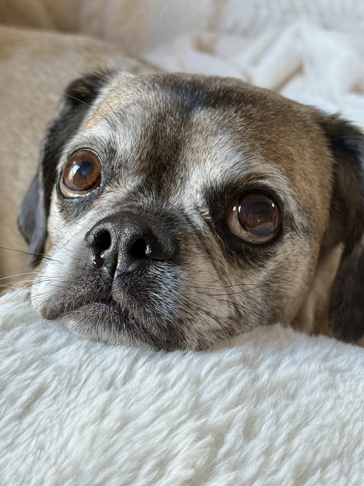 My Goals For 2025 Week 47 of 52