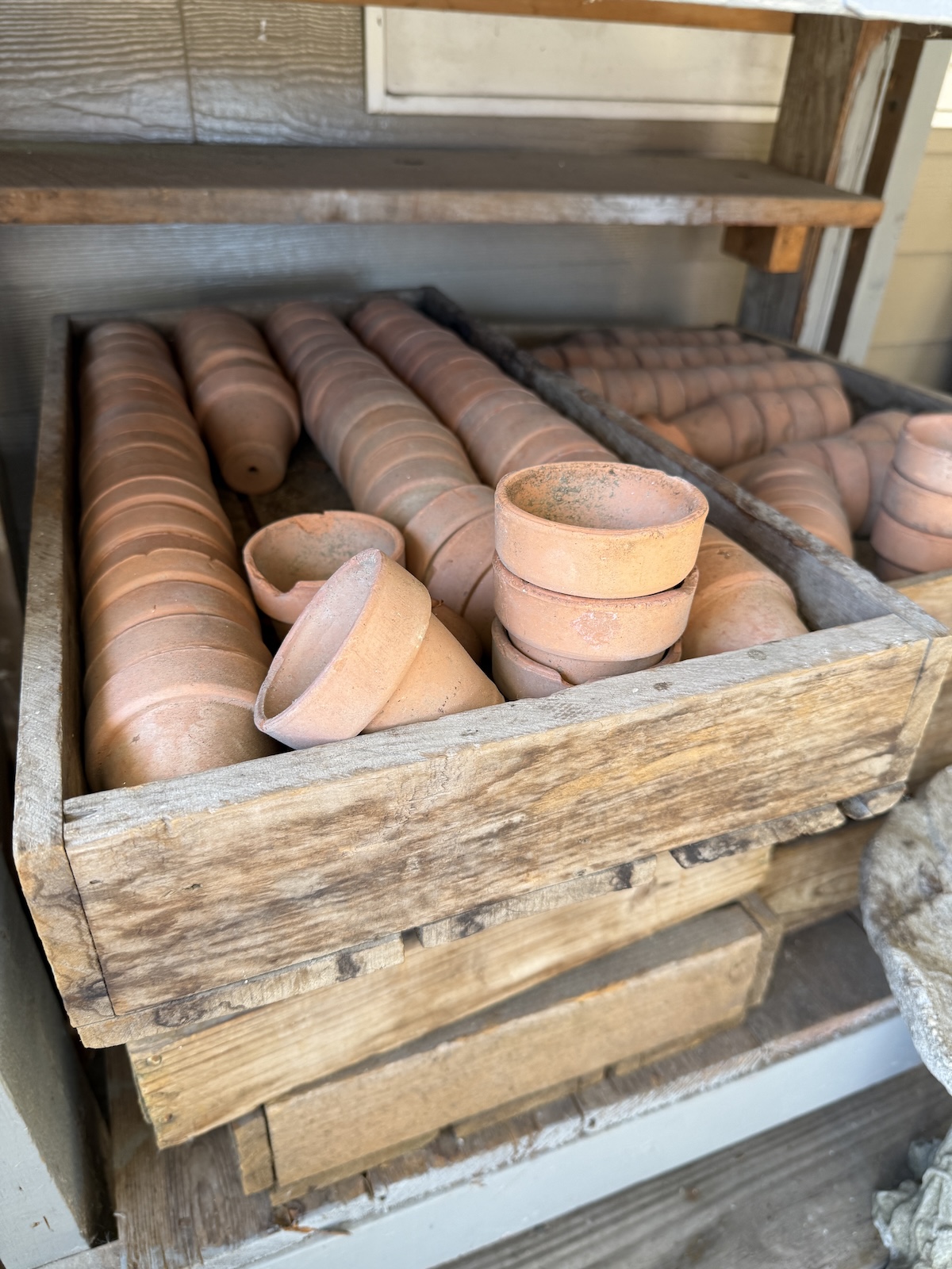 My Goals For 2025 Week 44 of 52