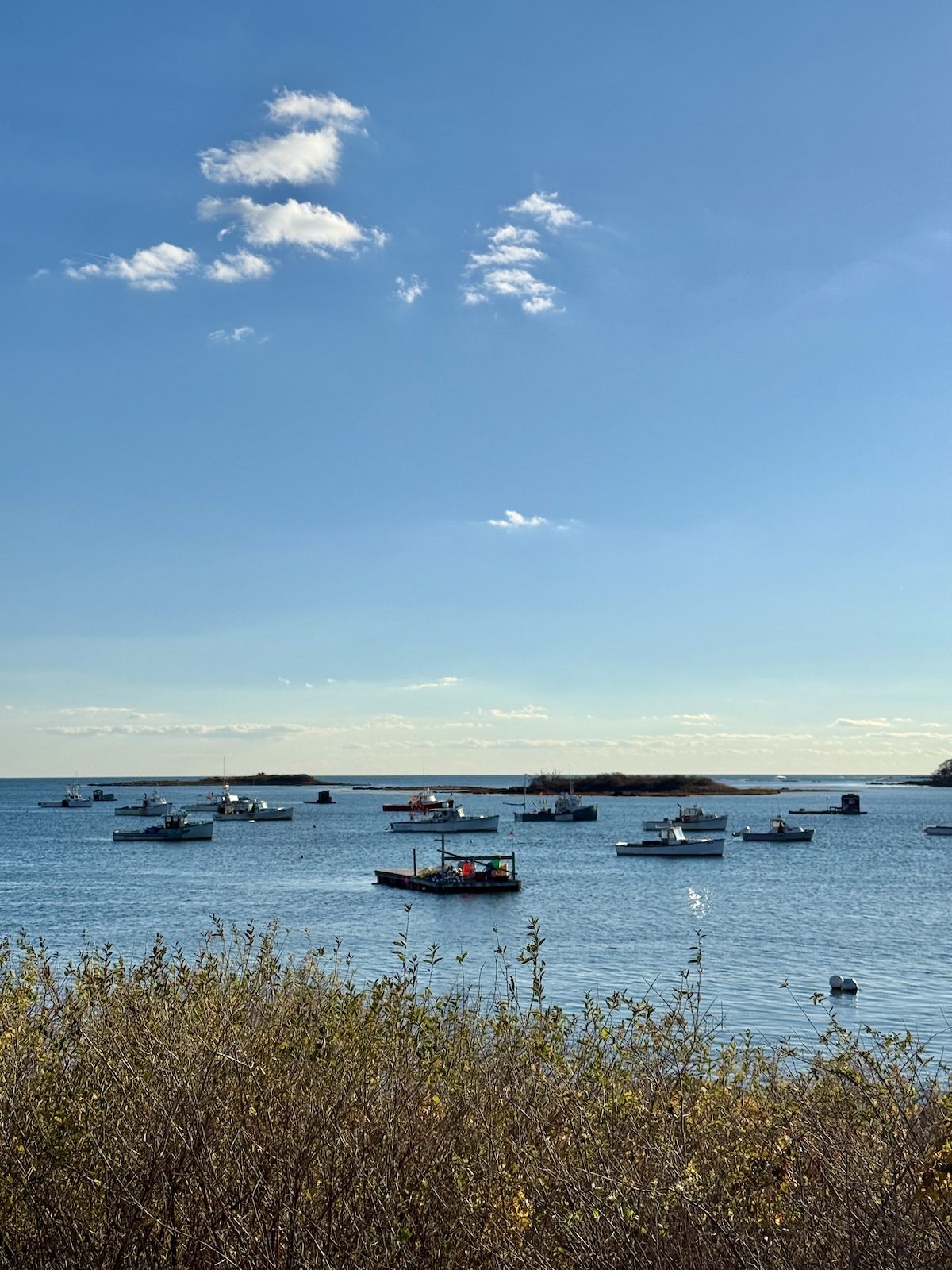 My Goals For 2025 Week 45 of 52