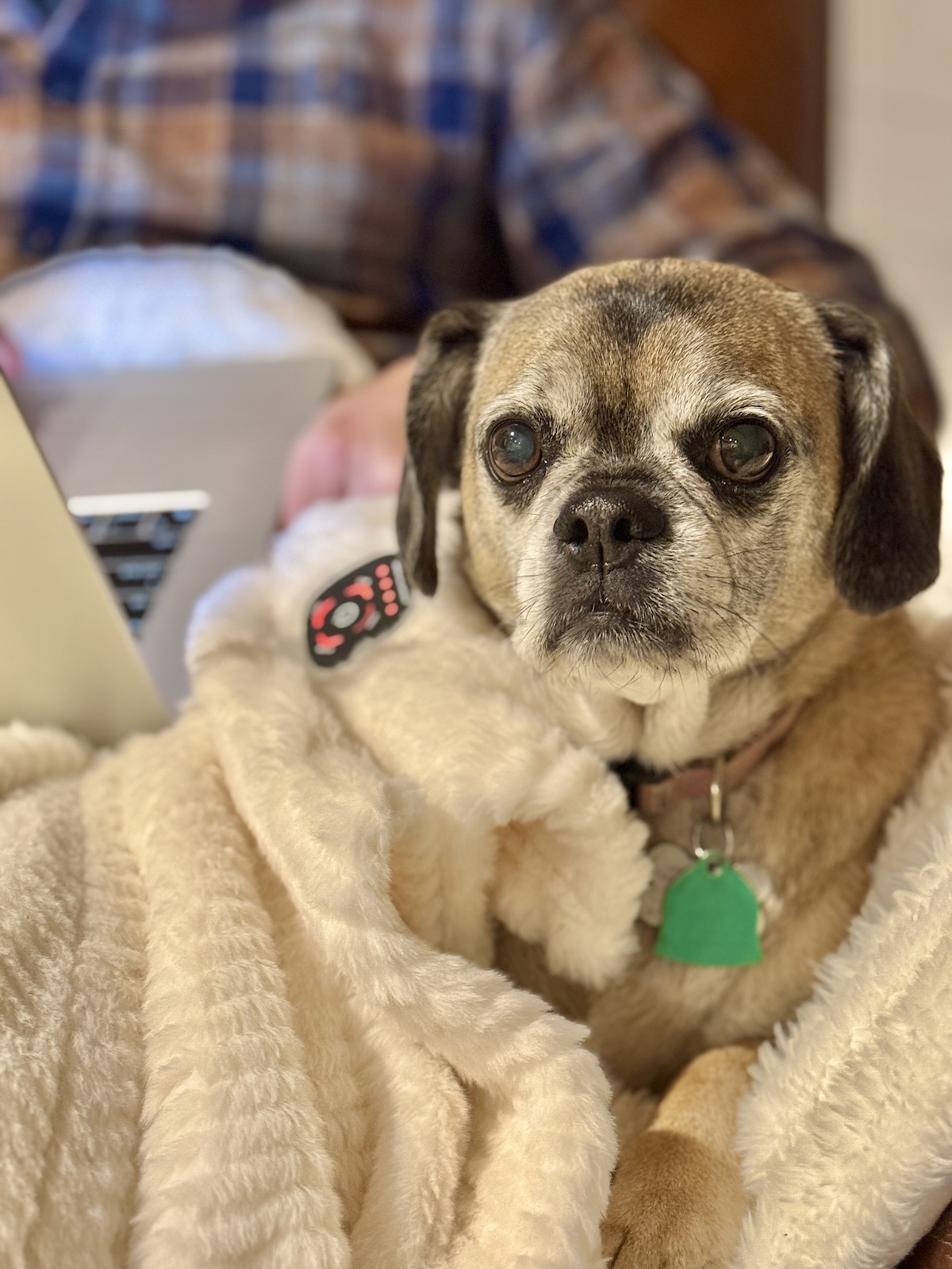 My Goals For 2025 Week 46 of 52