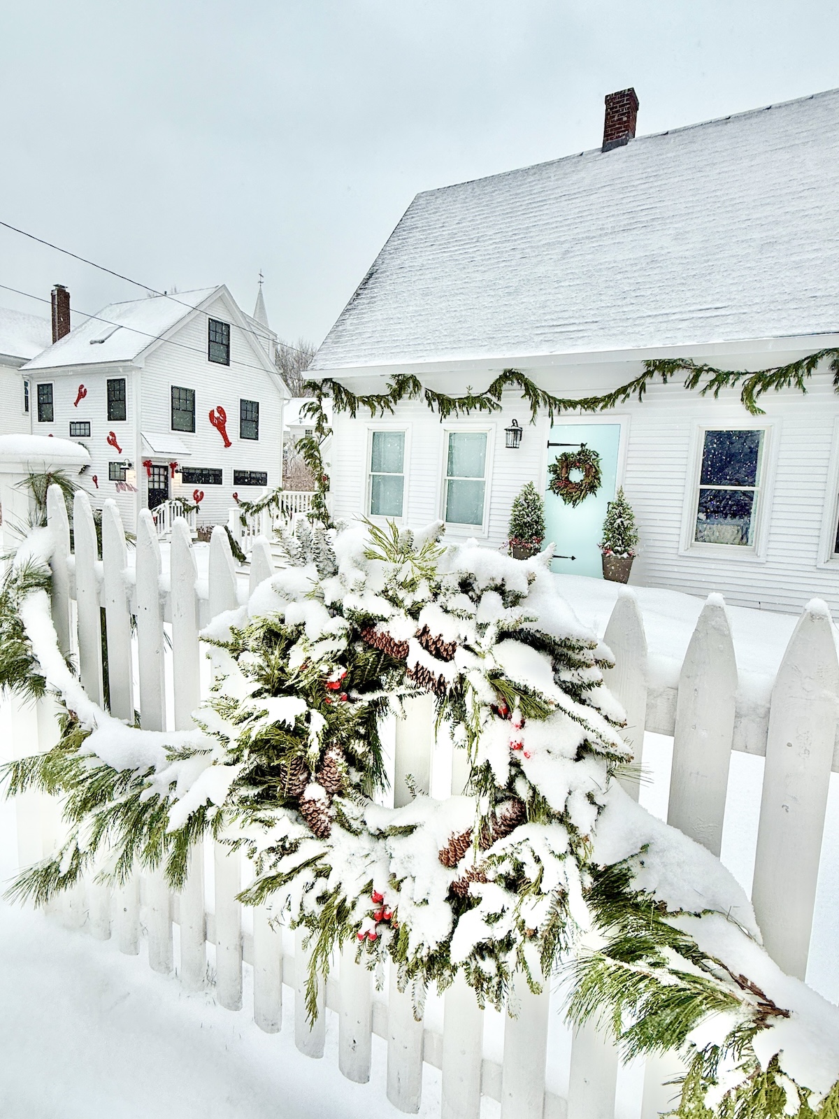 Merry Christmas From Maine!