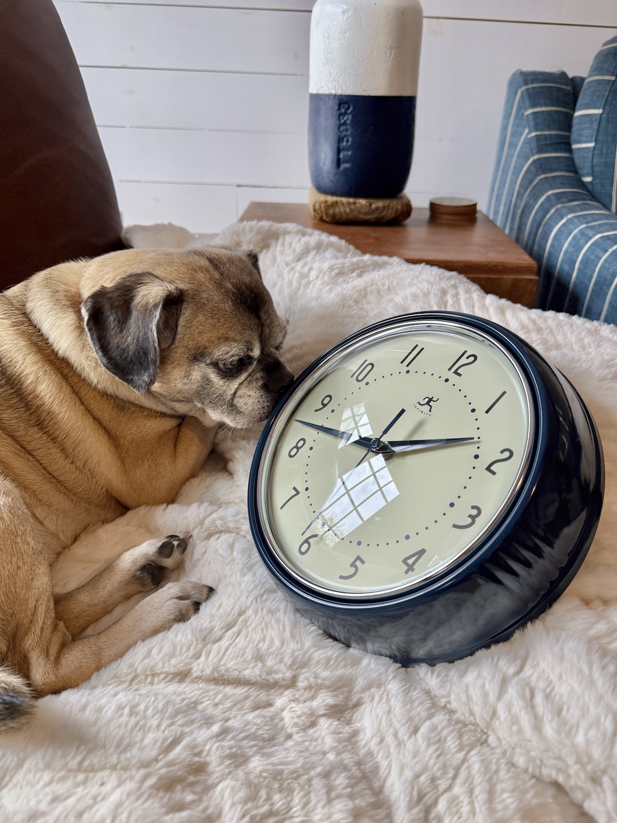 My Goals For 2026 – Week 1 of 52