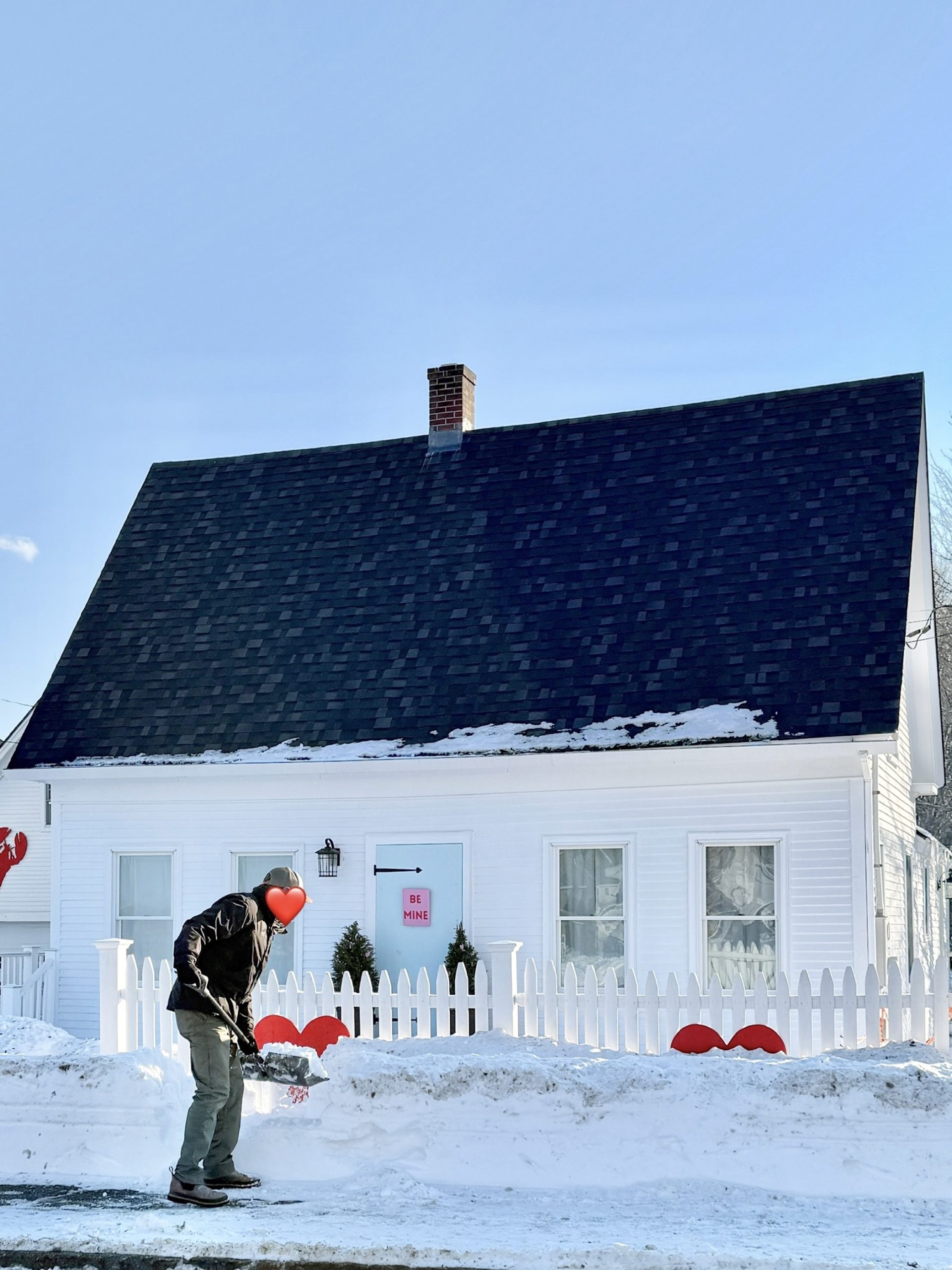 I Started My Third Flat Of Seedlings!!