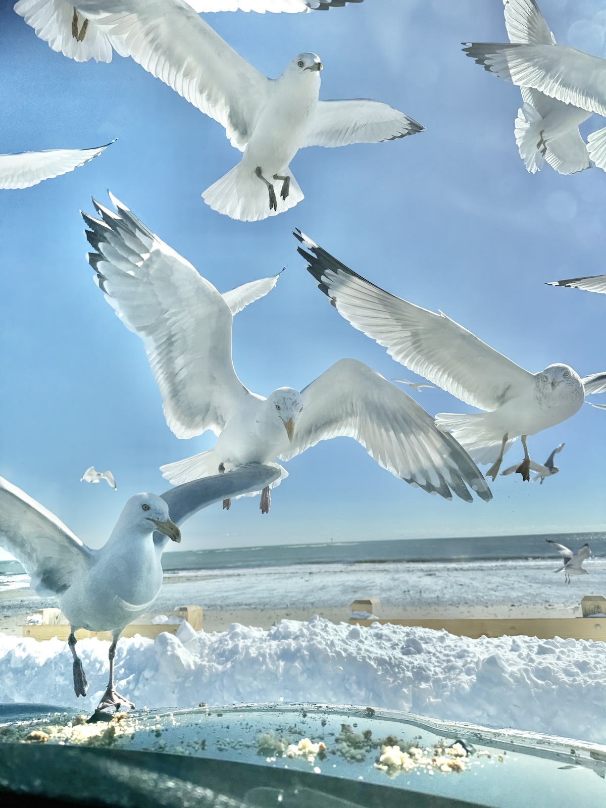 Breakfast At The Beach