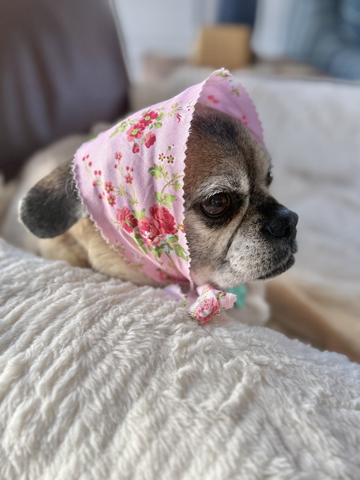 She’s Just The Sweetest