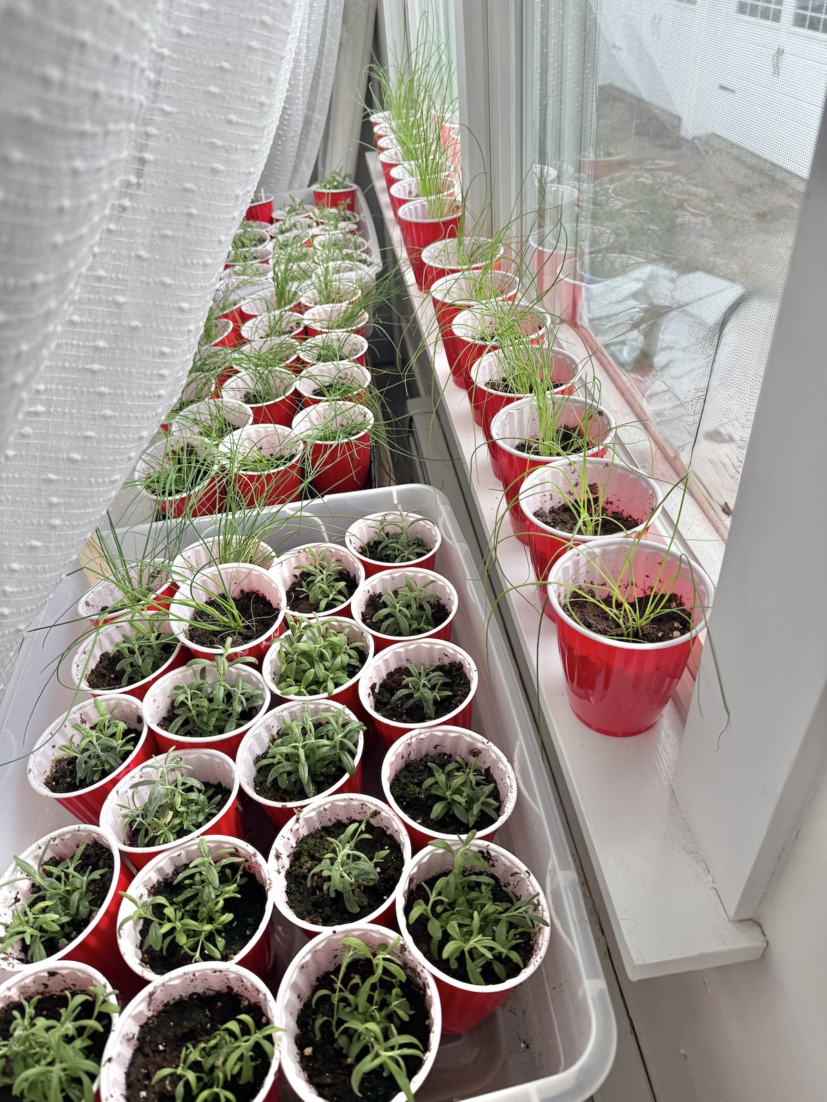 I’m Going To Run Out Of Room