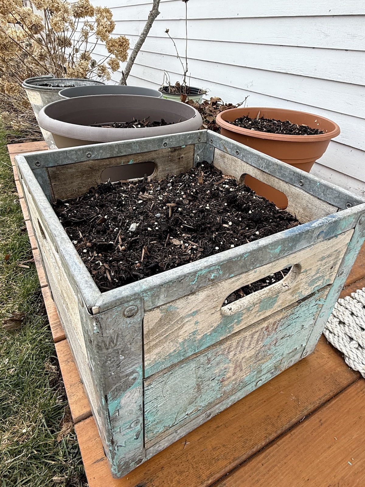 This Week In The Garden