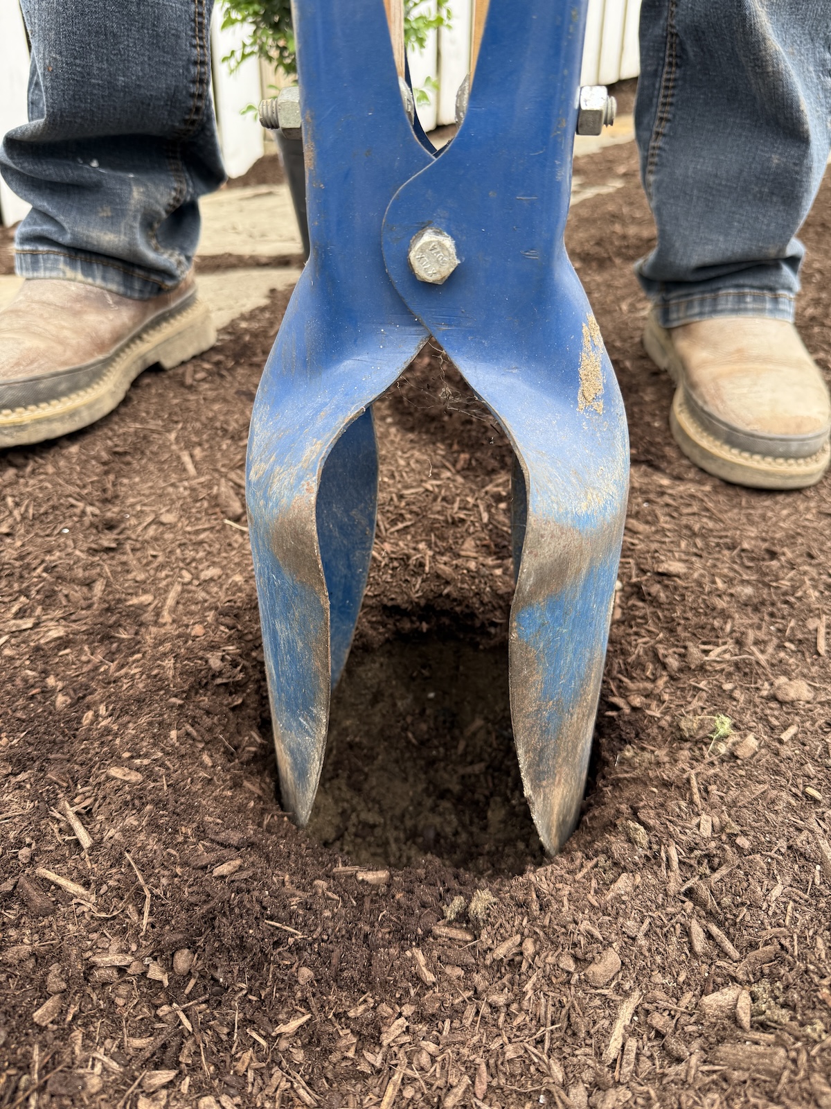 You Can Never Go Wrong With Boxwoods