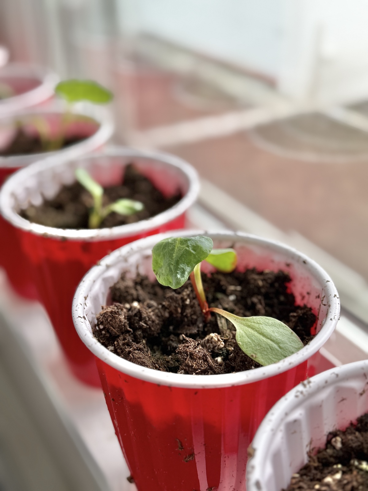 There Is Always Something New To Try