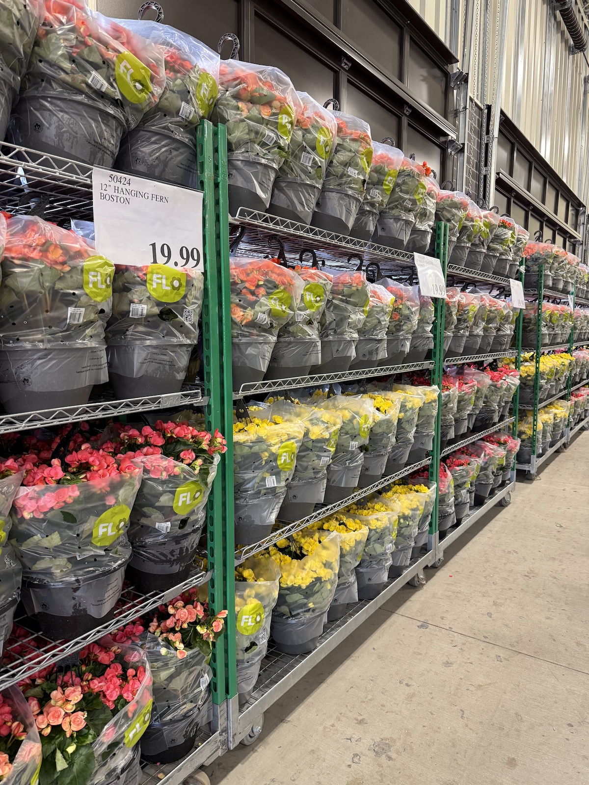 Costco Flower Deals