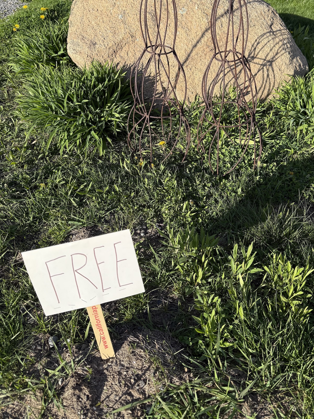 Freebie Season Has Begun!