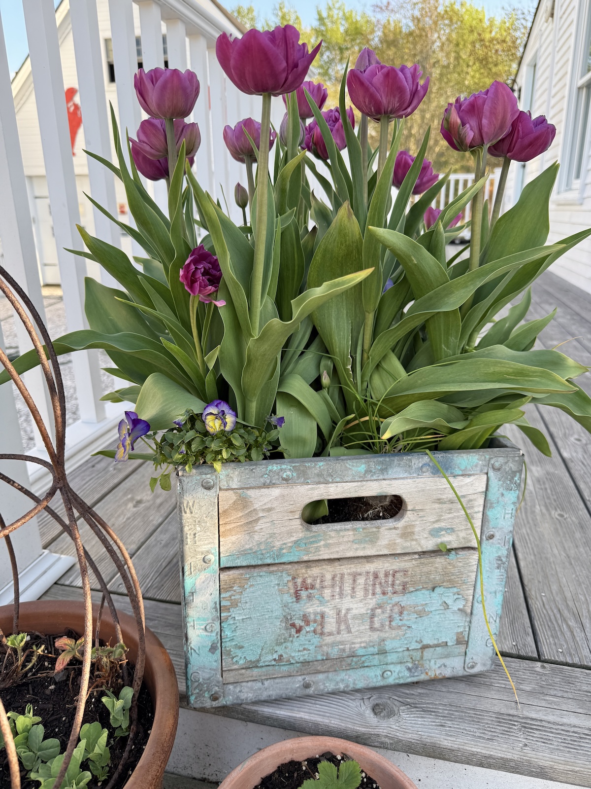 My Goals For 2026 – Week 20 of 52