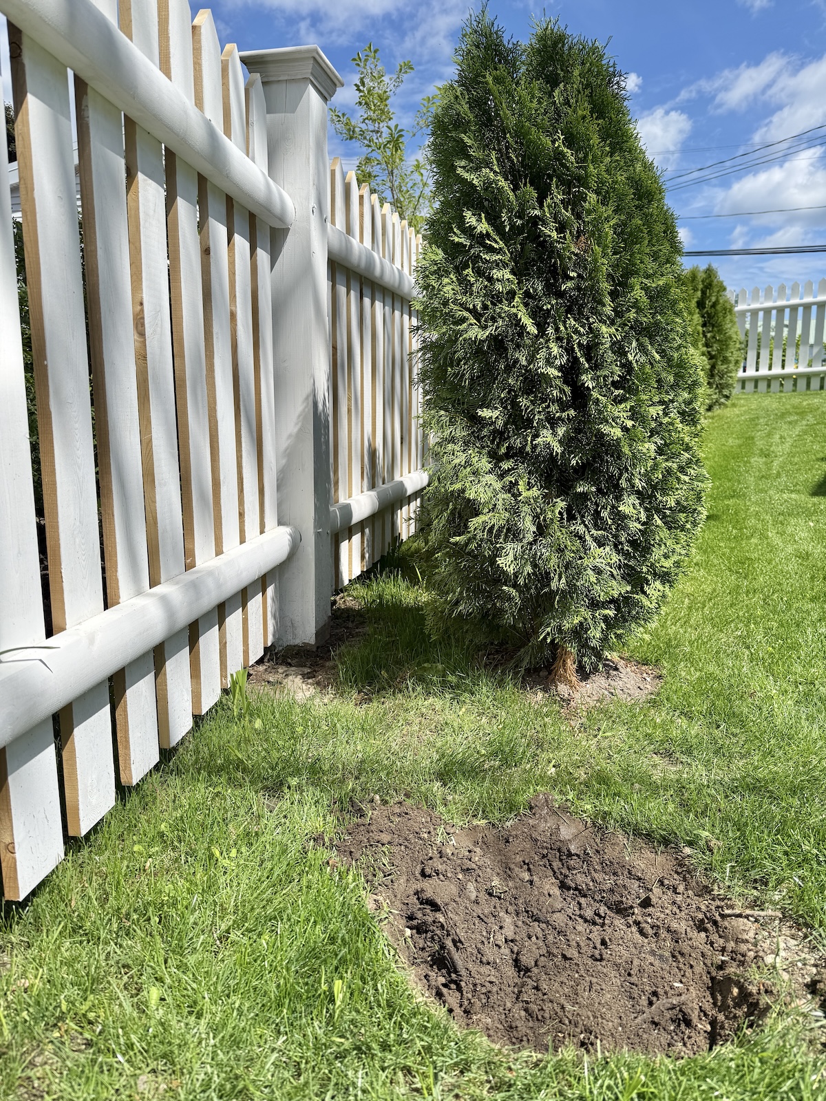 I Think We Should Dig Up The Whole Yard!