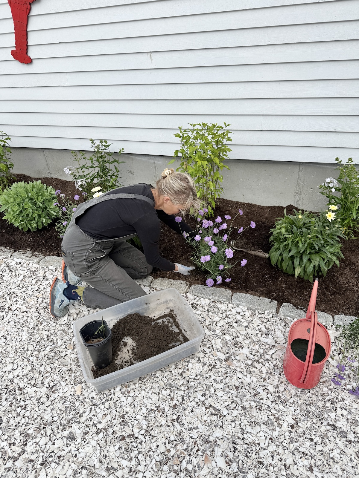Perennials Are All I’m Planting From Here On Out