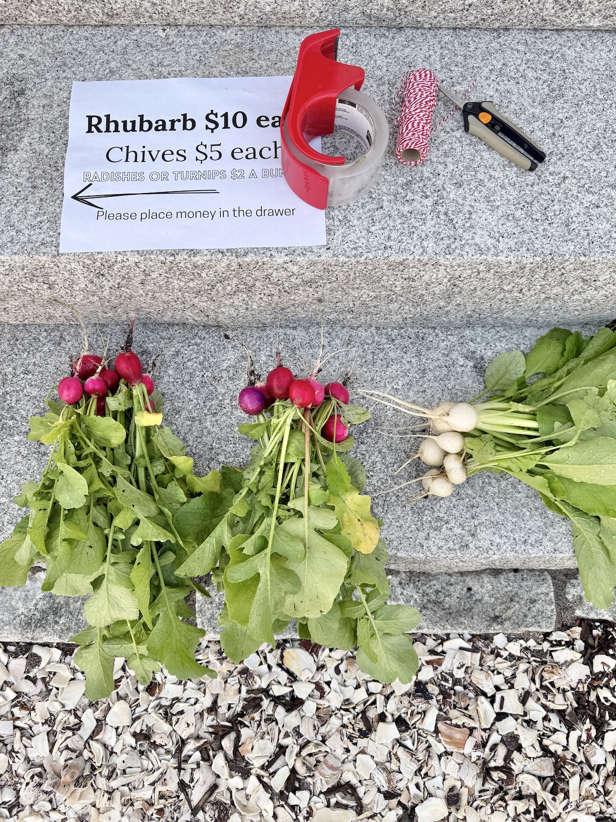 The Early Bird Gets The Worm… Or Radishes?