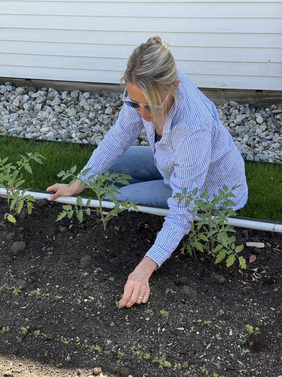 Garden Happenings